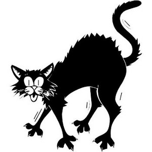 scared_cat_decal_2